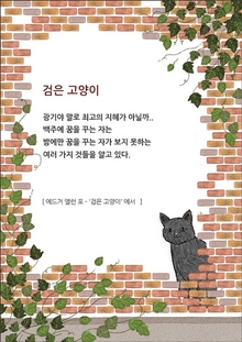 검은 고양이